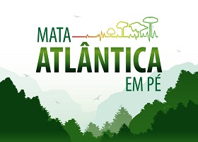 1536588421mata atlantica imagem materia