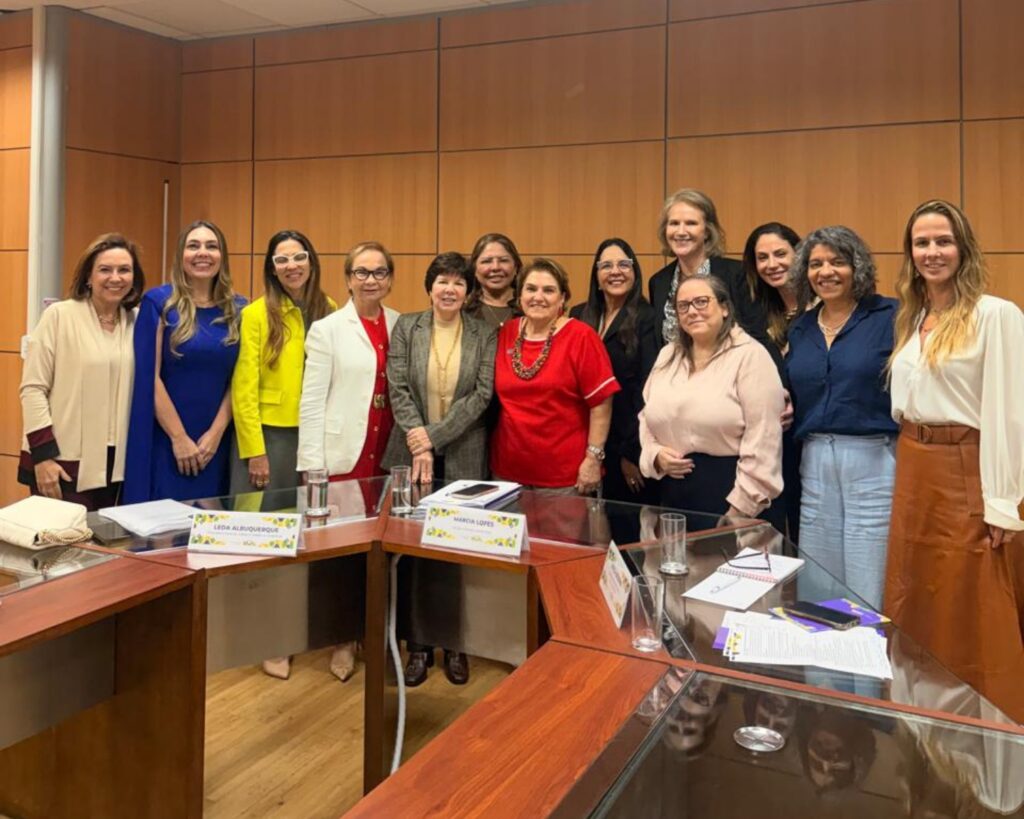 Copevid articula parceria nacional com Ministério da Justiça, Ministério das Mulheres e Senasp para fortalecer combate à violência contra a mulher